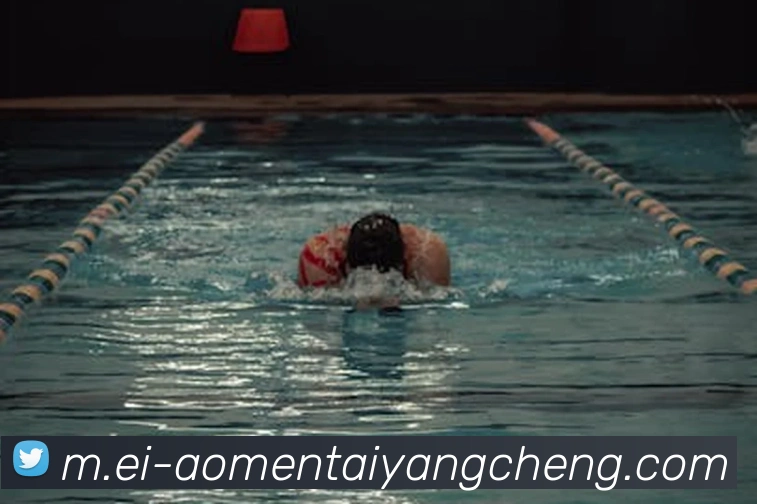 App Interface Preview