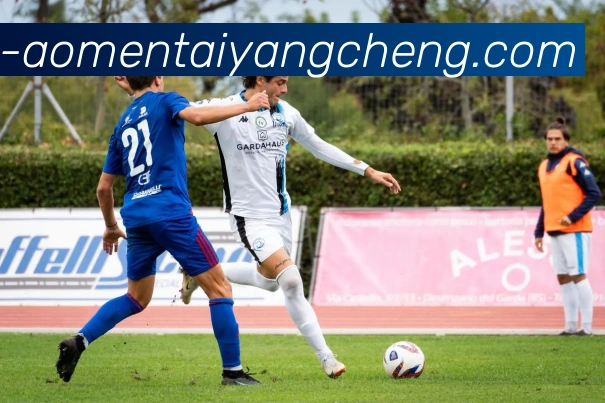 太阳城网站APP 封面图